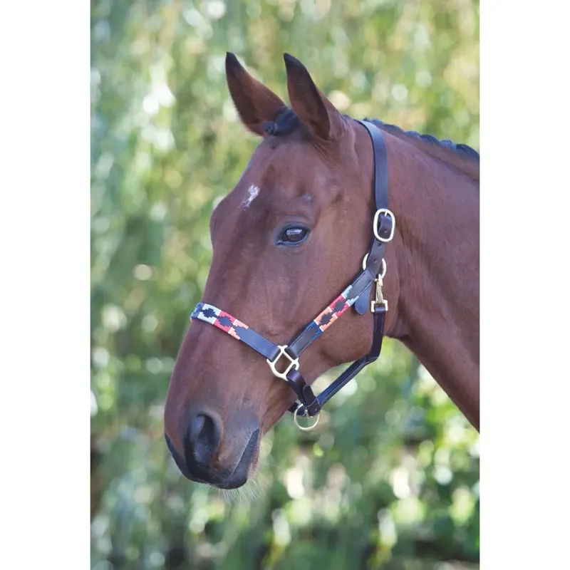 Velociti GARA Leather Polo Headcollar - Turq/Red/Orange/Blue