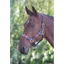 Velociti GARA Leather Polo Headcollar - Turq/Red/Orange/Blue