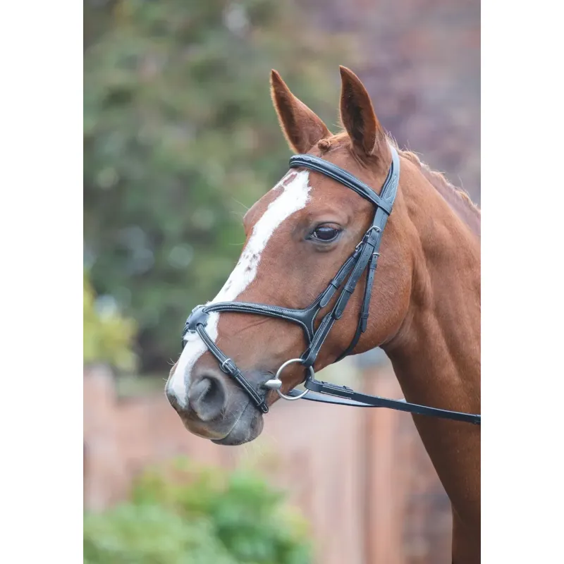 Shires Avignon Grackle Bridle - Black