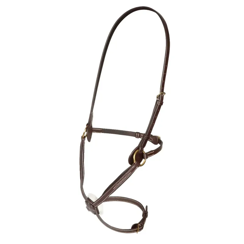 Shires Salisbury Brackley Noseband - Australian Nut