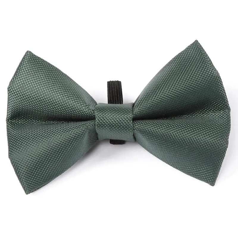 Digby And Fox Bow Tie - Forest