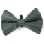 Digby And Fox Bow Tie - Forest