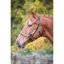 Shires Velociti GARA Leather Nameplate Headcollar - Havana