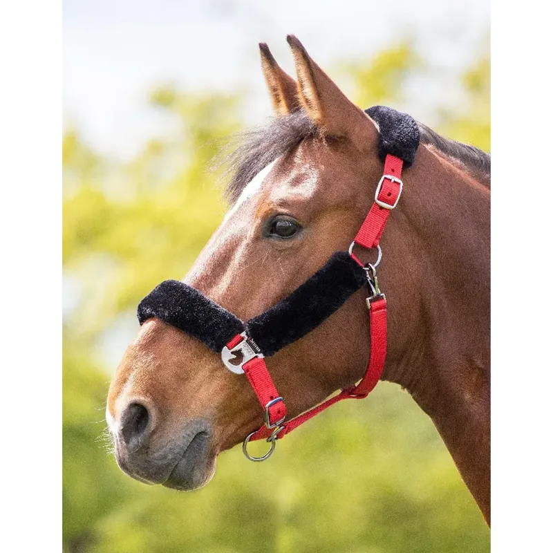 Shires Fleece Lined Headcollar - Red