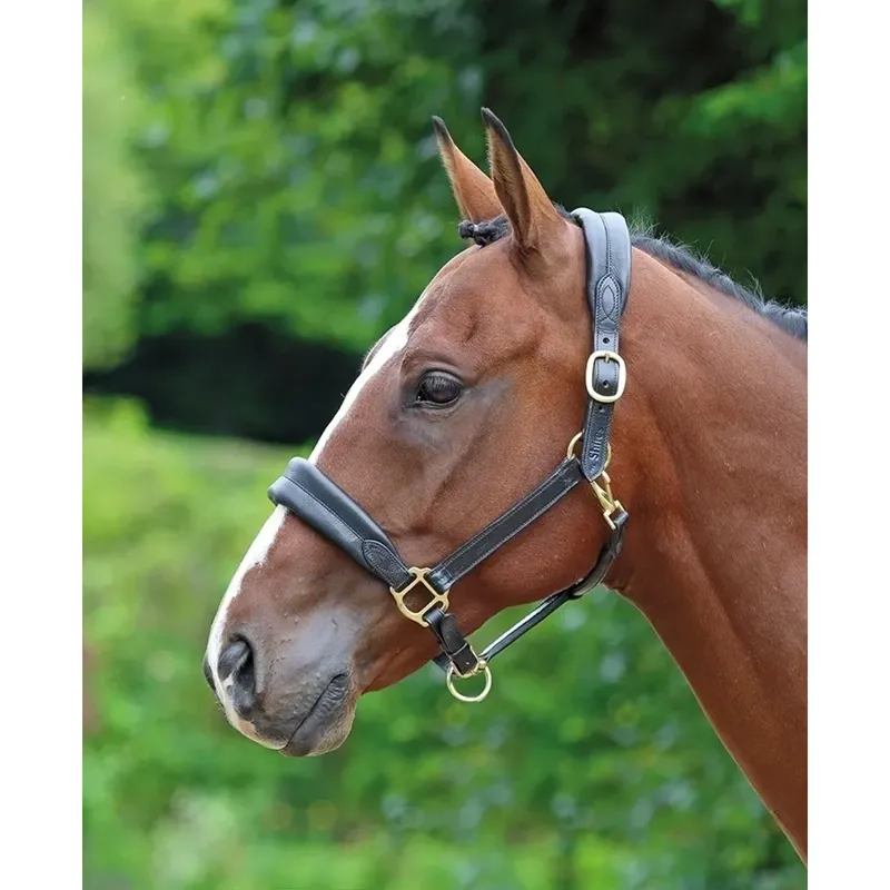 Velociti GARA Cushioned Travel Headcollar - Black 
