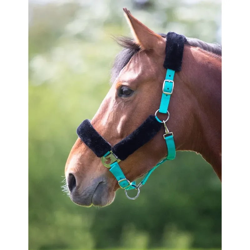 Shires Fleece Lined Headcollar -Teal