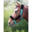 Shires Fleece Lined Headcollar -Teal