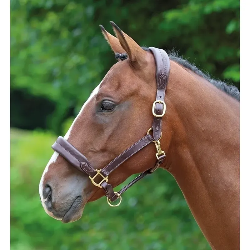 Velociti GARA Cushioned Travel Headcollar - Havana 