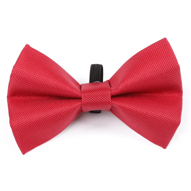 Digby And Fox Bow Tie - Red