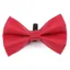 Digby And Fox Bow Tie - Red