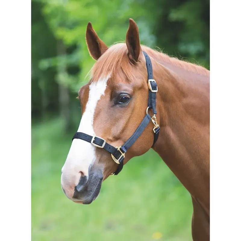 Shires Adjustable Headcollar - Black