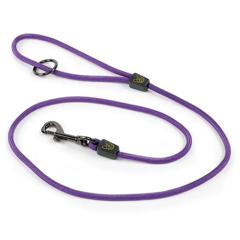 Shires Digby And Fox Pro Dog Lead-2