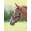 Shires ARMA Foal Headcollar - Black
