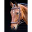 Shires Salisbury Berekeley Bridle - Australian Nut