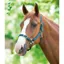 Shires Adjustable Headcollar - Green