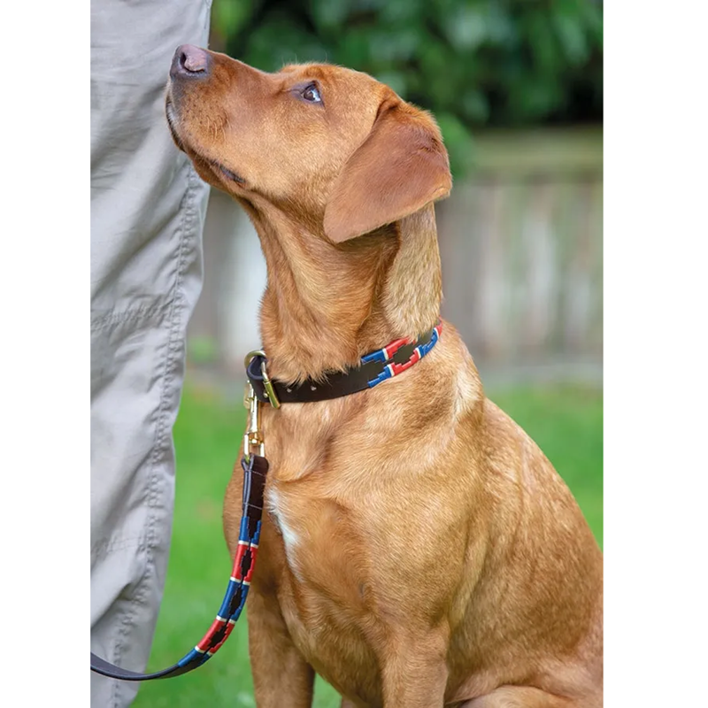 Shires Digby And Fox Drover Polo Dog Collar - Navy/Red-1