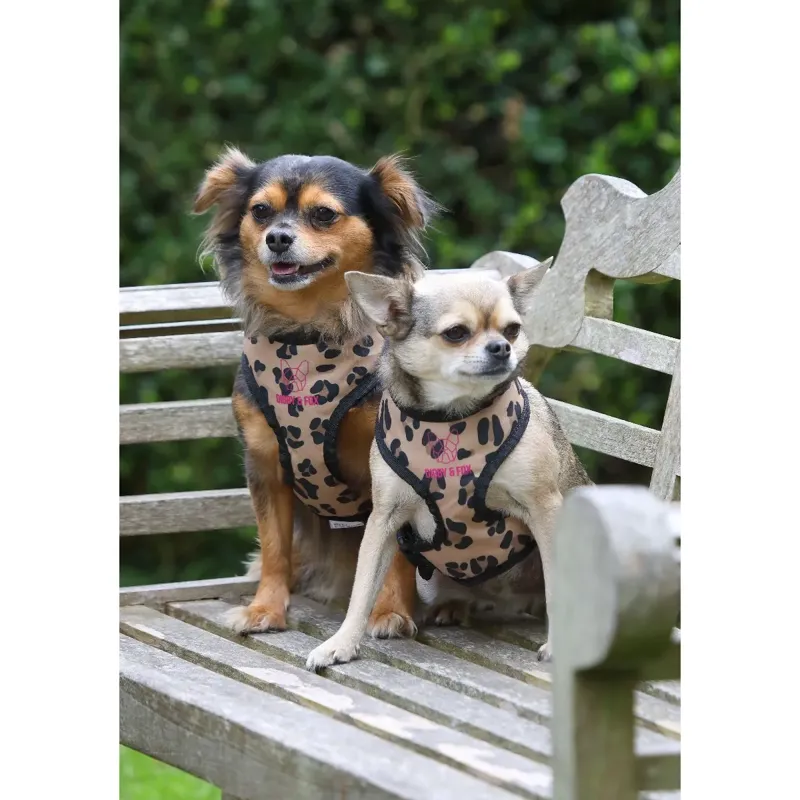 Digby And Fox Leopard Print Harness 