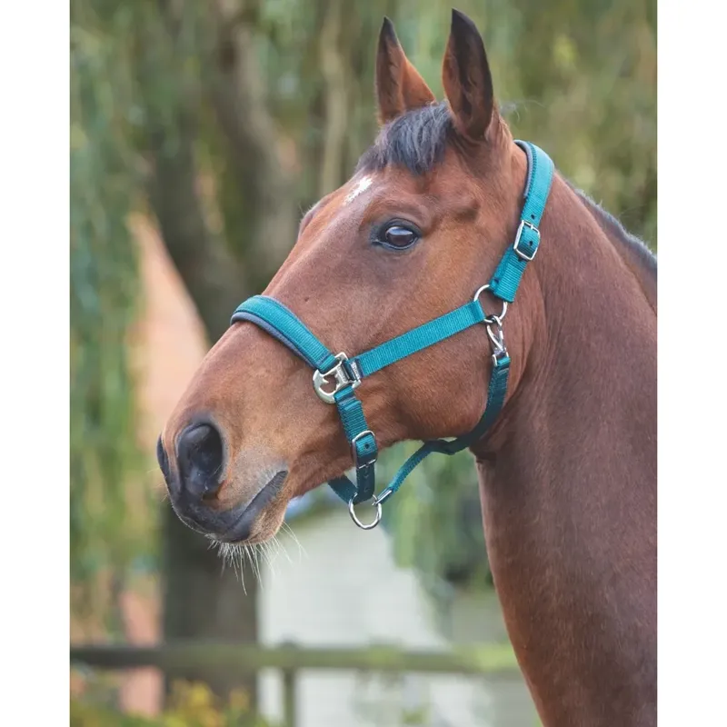 Shires Padded Headcollar - Blue
