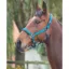 Shires Padded Headcollar - Blue