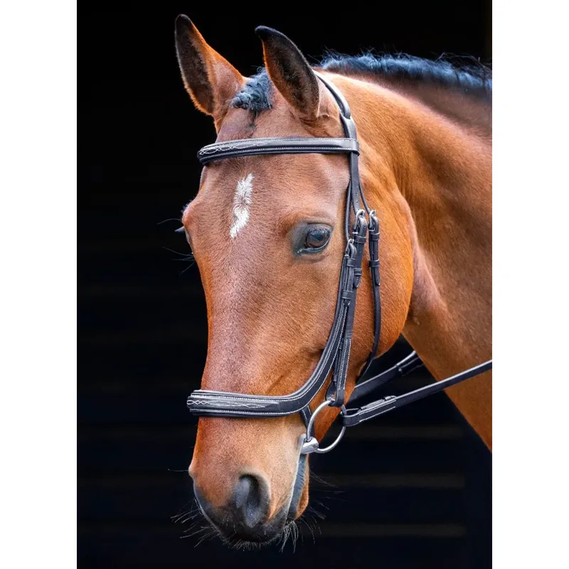 Shires Salisbury Berekeley Bridle - Black