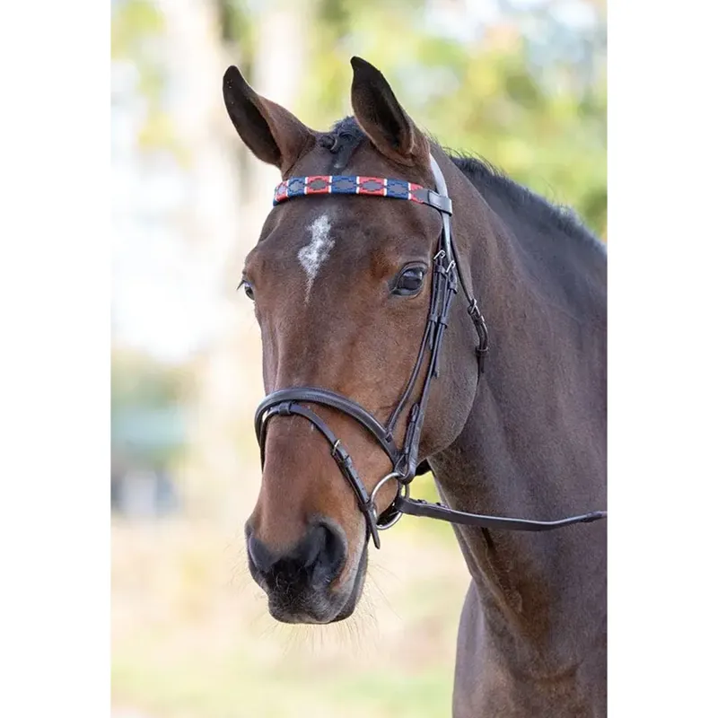 Velociti GARA Leather Polo Browband - Red/Navy
