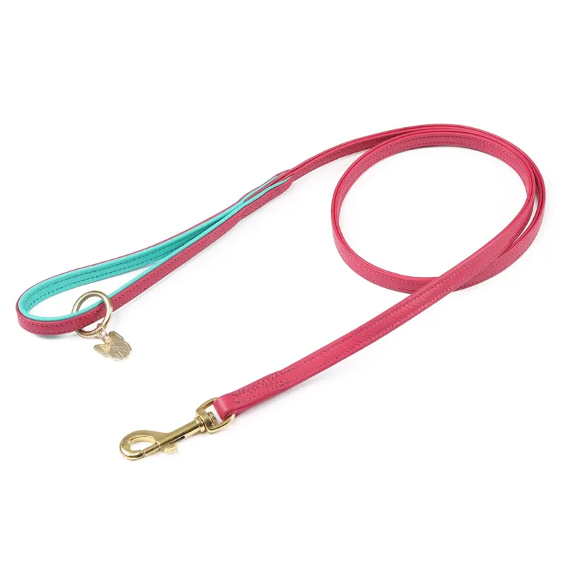 Shires Digby And Fox Padded Leather Dog Lead - Pink