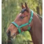 Shires Padded Headcollar - Green