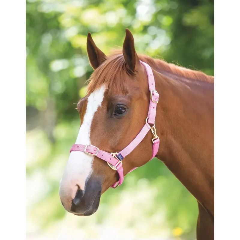 Shires Adjustable Headcollar - Pink