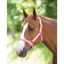 Shires Adjustable Headcollar - Pink
