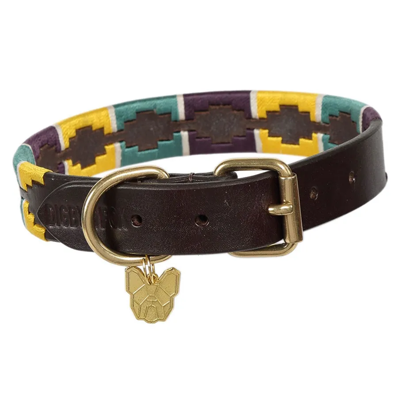 Shires Digby And Fox Drover Polo Dog Collar - Yellow/Dark Green/Purple