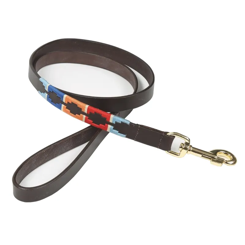 Shires Digby And Fox Drover Polo Dog Lead - Turquoise/Red/Orange/Blue