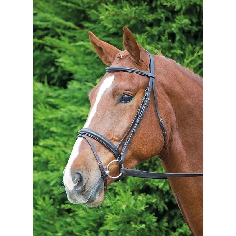 Shires Velociti GARA Comfort Fit Bridle - Black 