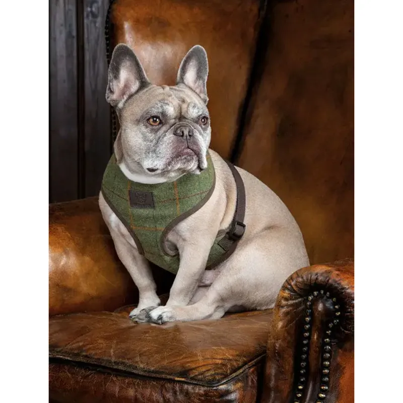 Digby And Fox Tweed Dog Harness - Red/Yellow/Blue Check