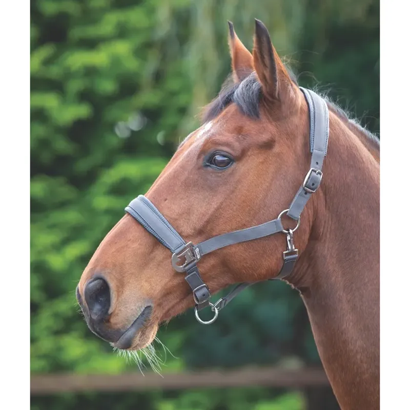 Shires Padded Headcollar - Grey