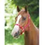Shires Adjustable Headcollar - Red
