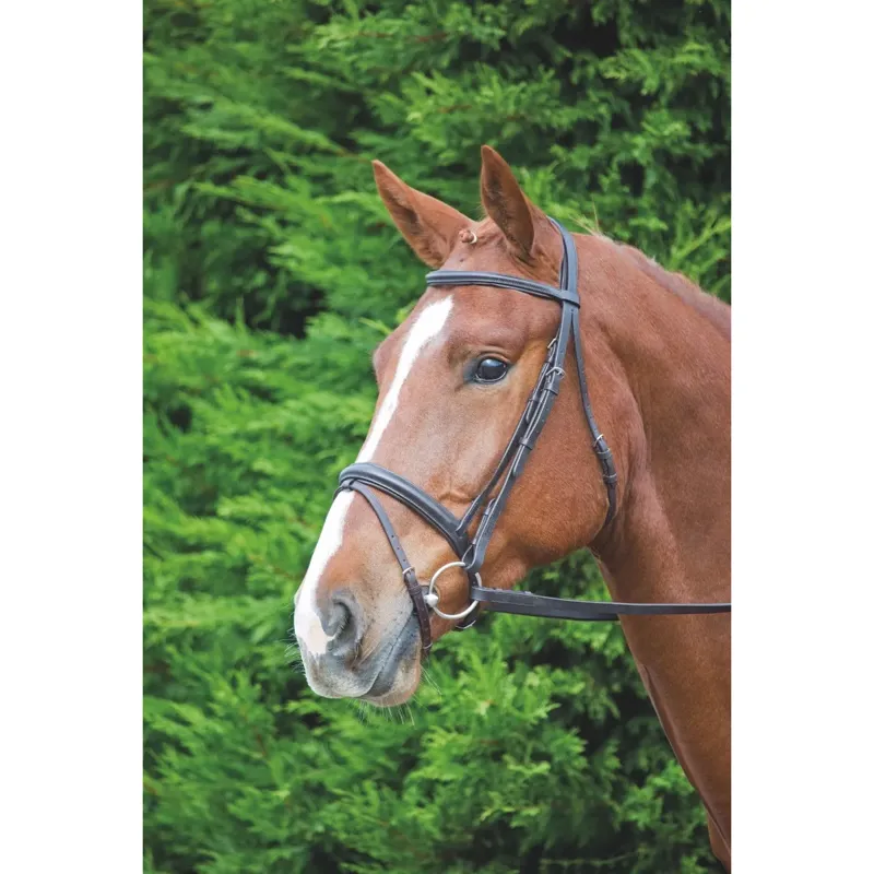 Shires Velociti GARA Comfort Fit Bridle - Havana