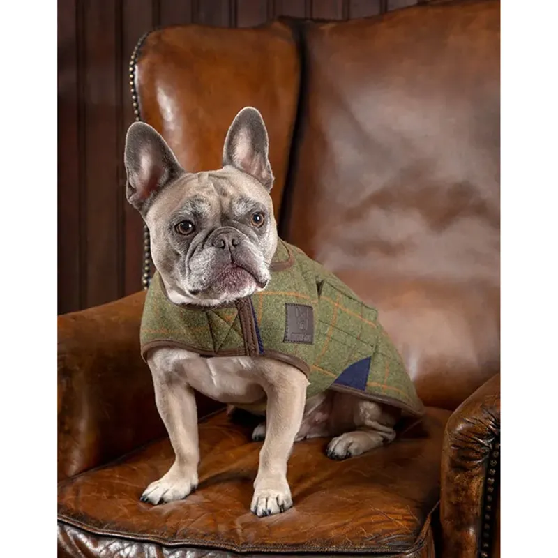 Digby And Fox Tweed Dog Rug Coat - Red/Yellow/Blue Check