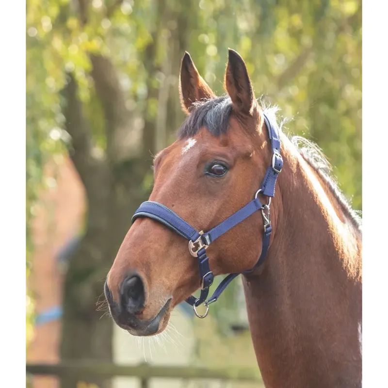 Shires Padded Headcollar - Navy
