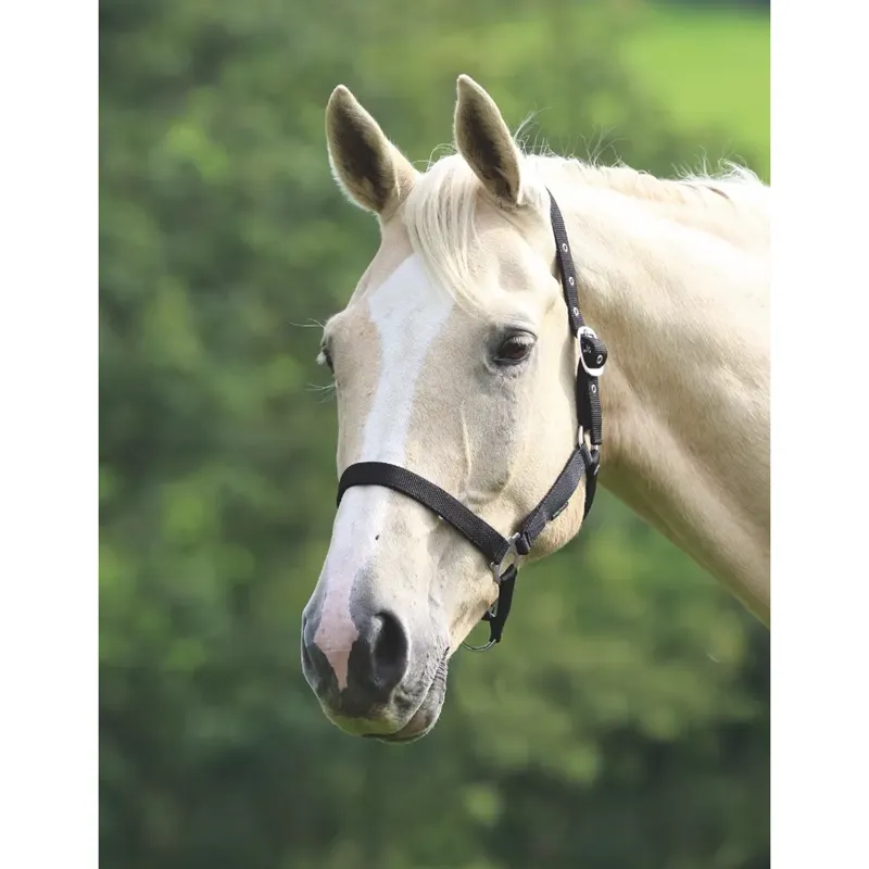 Shires Wessex Headcollar - Black