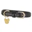 Shires Digby And Fox Padded Leather Dog Collar - Black