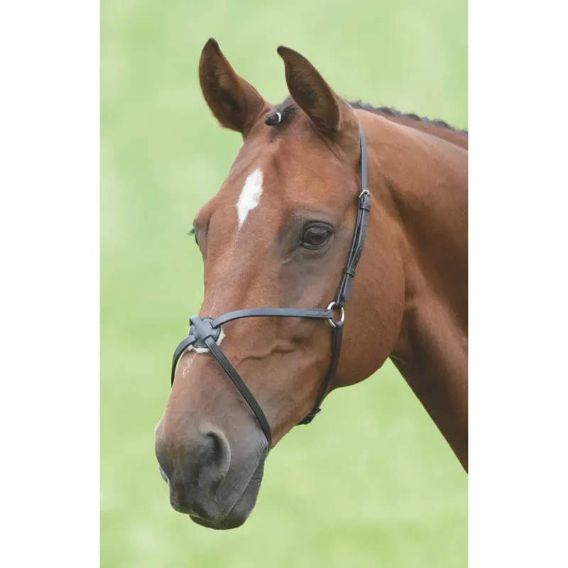 Shires Velociti GARA Mexican Noseband - Black