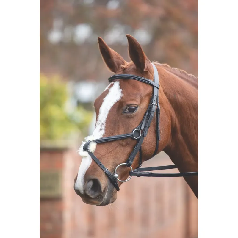 Shires Velociti GARA Mexican Bridle - Black