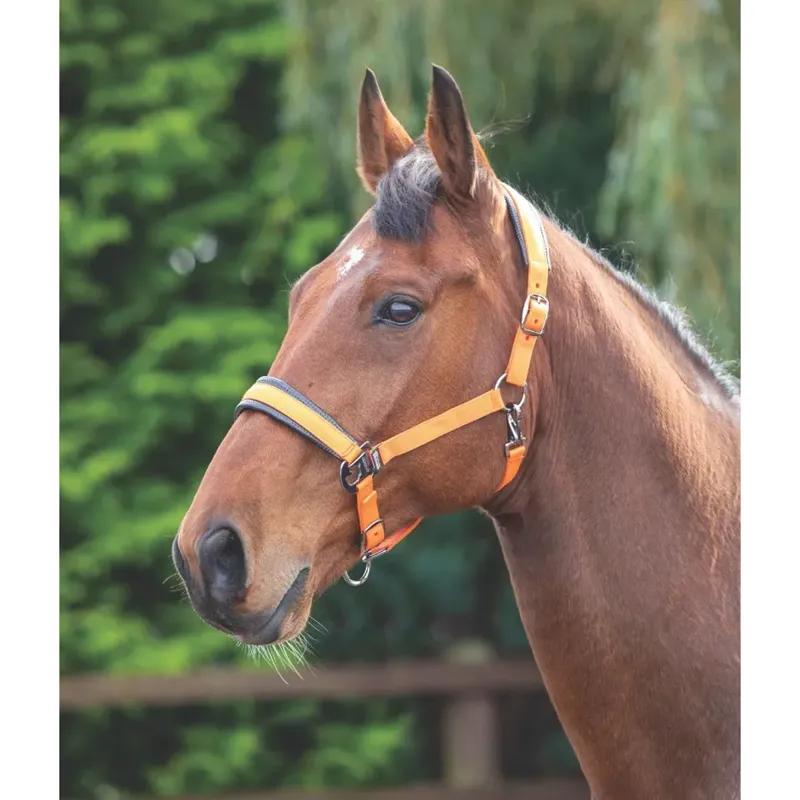 Shires Padded Headcollar - Orange
