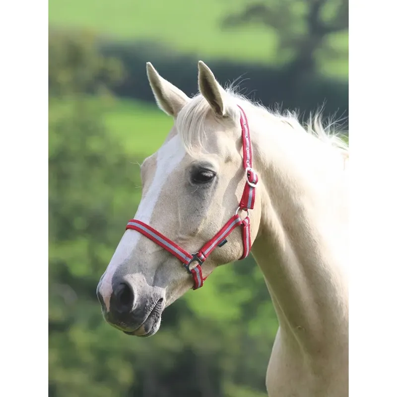 Shires Wessex Headcollar - Red/Silver