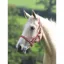 Shires Wessex Headcollar - Red/Silver