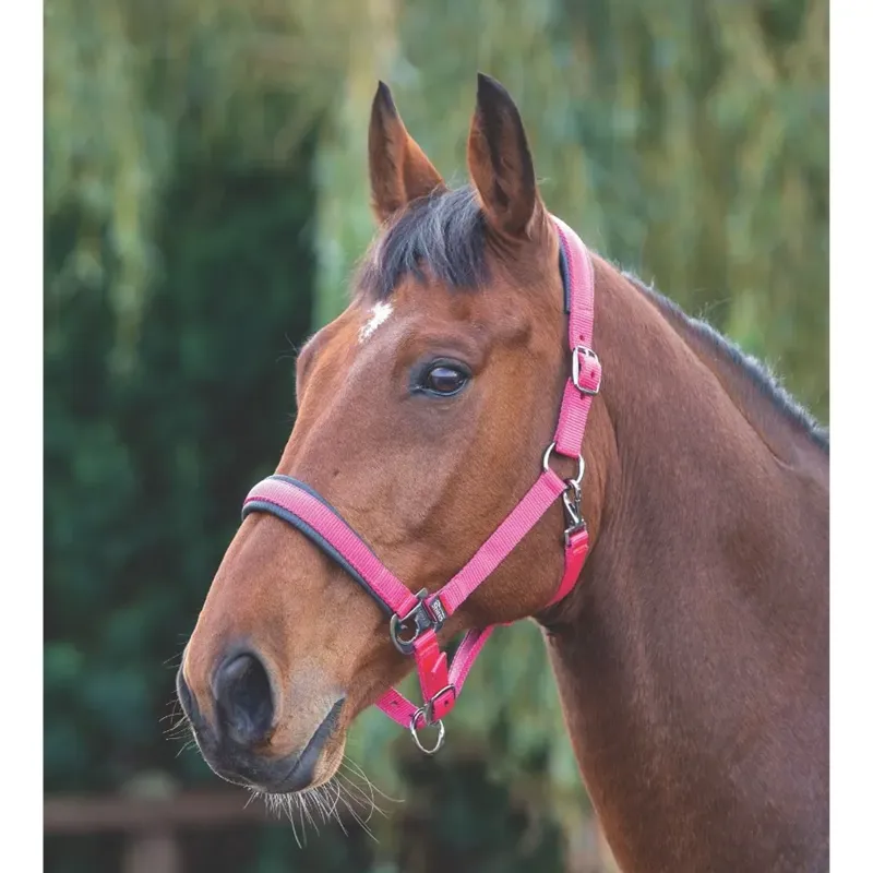 Shires Padded Headcollar - Pink