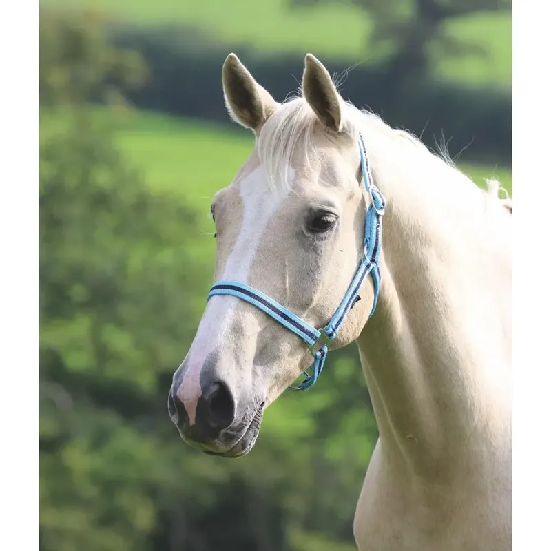 Shires Wessex Headcollar - Cambridge/Navy
