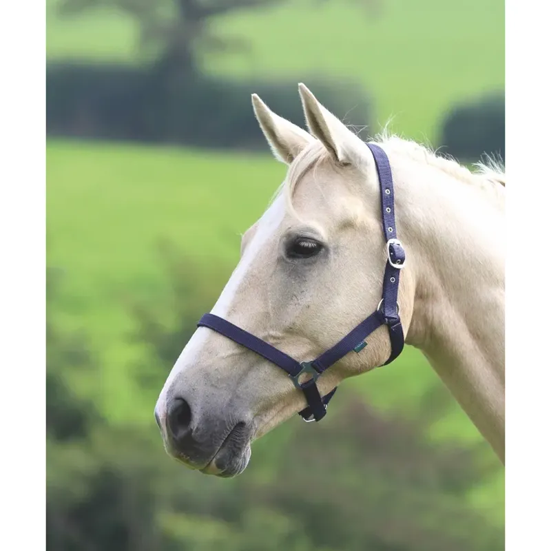 Shires Wessex Headcollar - Navy