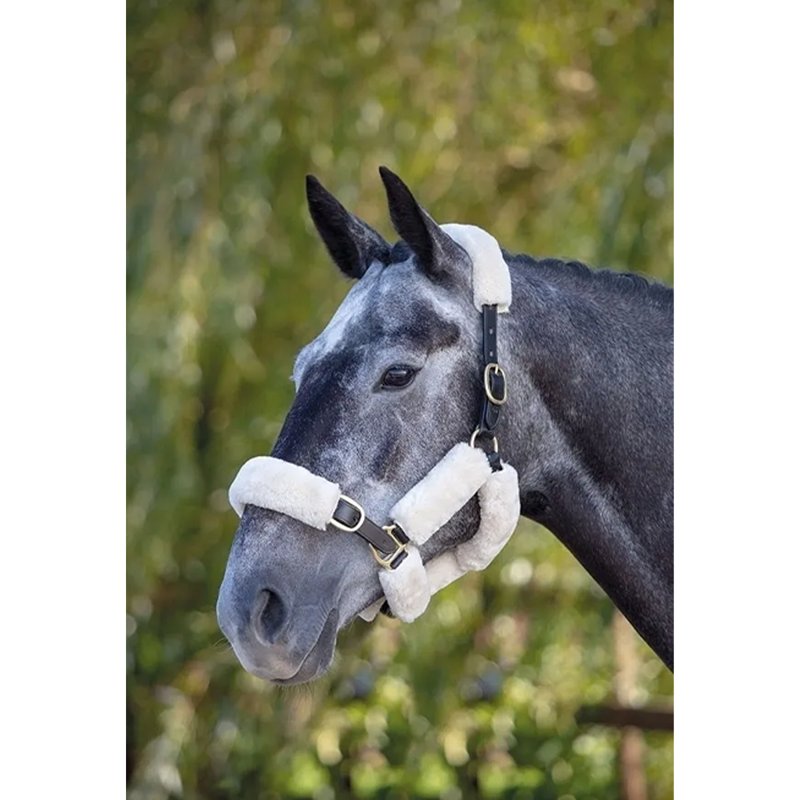 ARMA SupaFleece Halter Fleeces - 6Pack-1