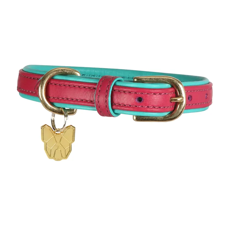 Shires Digby And Fox Padded Leather Dog Collar - Pink